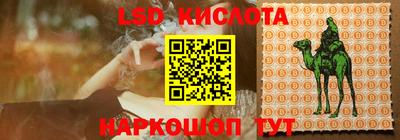 прущие грибы Донской