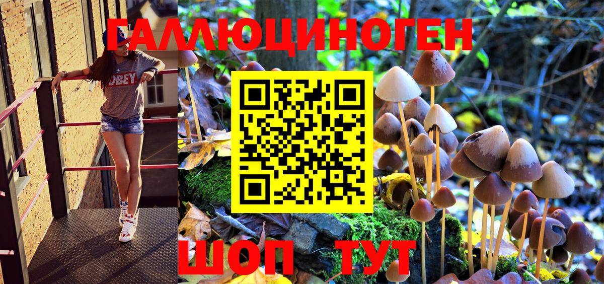 Наро-Фоминск  Галлюциногенные грибы Psilocybine cubensis  Вход с VPN 