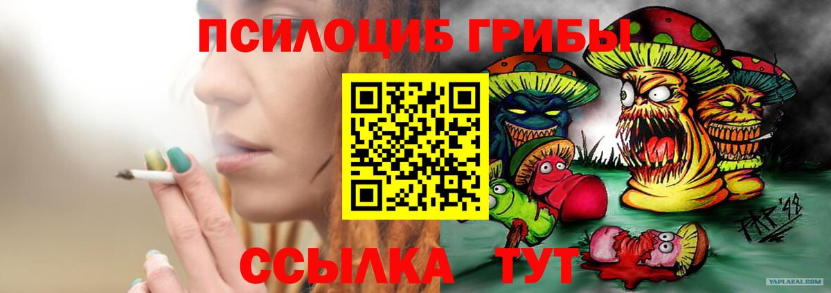 Галлюциногенные грибы Psilocybine cubensis Наро-Фоминск